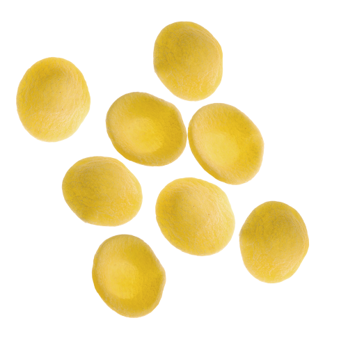 orecchiette